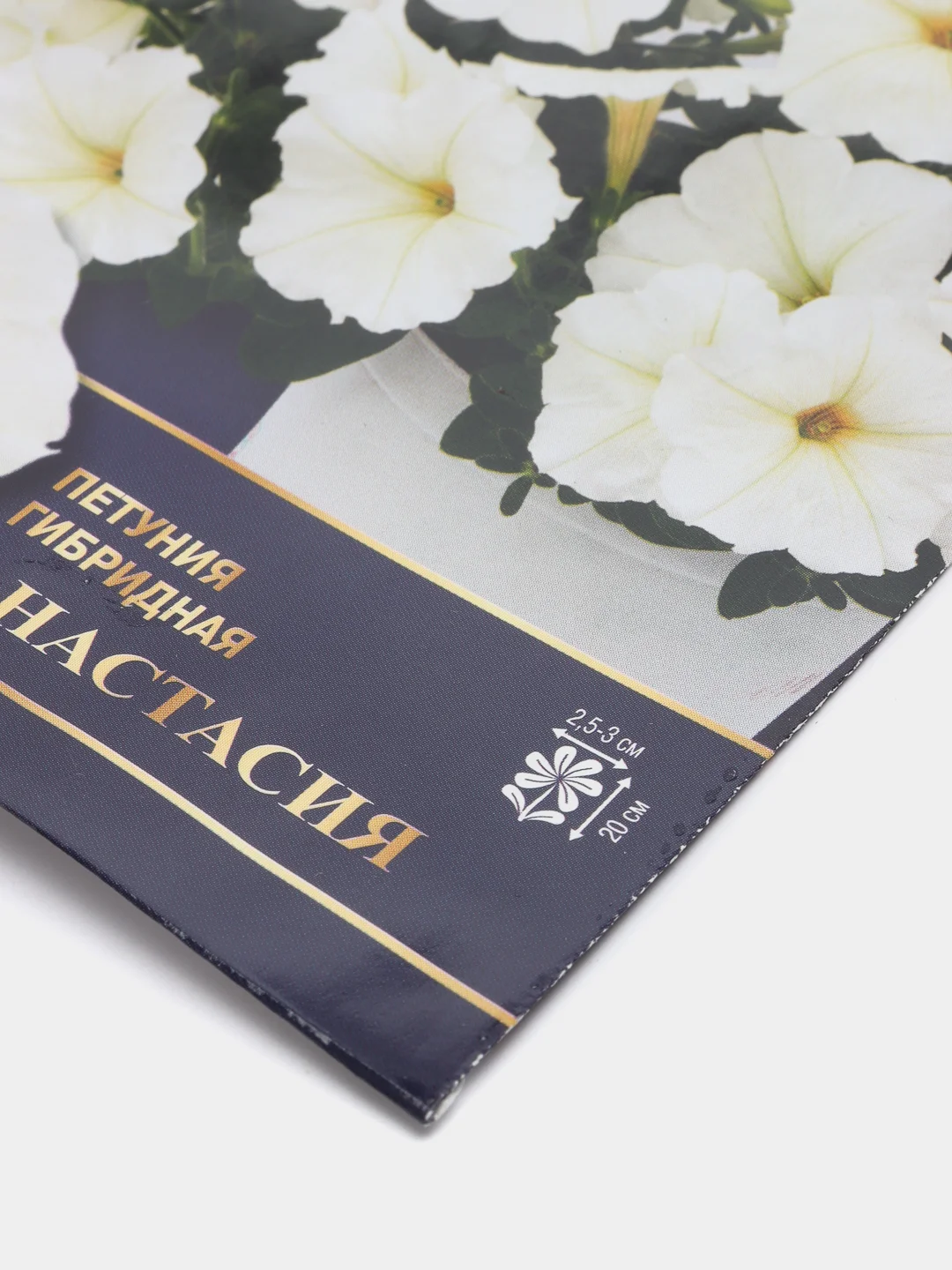 Цветы Петуния гибридная "Анастасия", семена