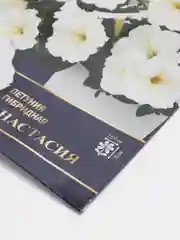 Цветы Петуния гибридная "Анастасия", семена