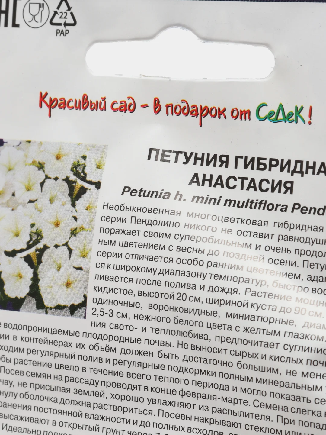 Цветы Петуния гибридная "Анастасия", семена