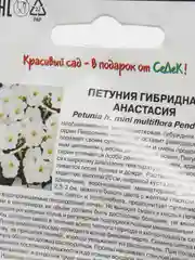 Цветы Петуния гибридная "Анастасия", семена