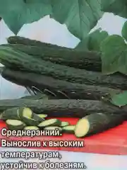 Семена Огурец "Китайский Жароустойчивый F1"