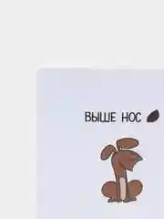 Открытка "Выше нос"