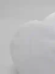 Мешок для стирки нижнего белья, цилиндр, 16 х 17 см