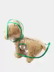Зеленый плащ-дождевик для животных