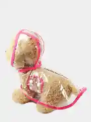 Розовый плащ-дождевик для животных