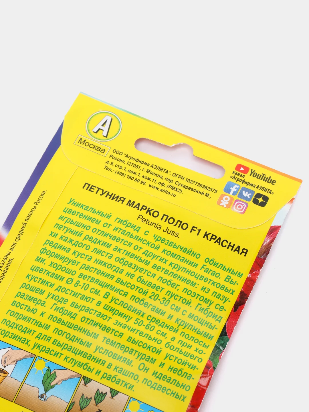 Петуния Марко Поло красная (семена,цветы)