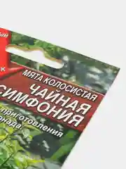 Мята Чайная симфония (семена)