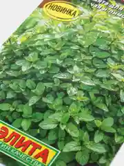 Мята Чайная симфония (семена)
