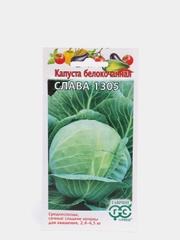 Семена Капуста белокочанная "Слава 1305", среднеспелая