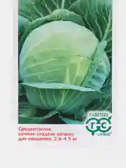 Семена Капуста белокочанная "Слава 1305", среднеспелая