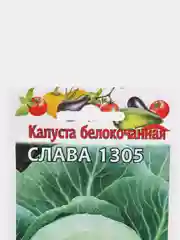 Семена Капуста белокочанная "Слава 1305", среднеспелая
