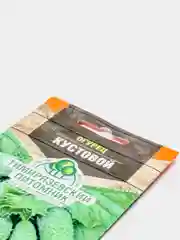 Аметистовый семена огурцов, 4 сорта