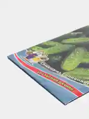 Семена Огурец "Маринда F1"