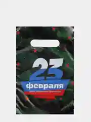 Пакеты подарочные с вырубной ручкой, для подарков на 23 февраля, 10 штук