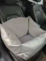 Автолежак для собак