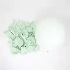 Мятный воздушный шар "Макарун"