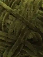 Плюшевая пряжа Dolce YarnArt