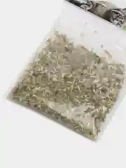 Кошачья мята. Для кошек