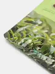 Зелёный хаки маска тканевая для лица