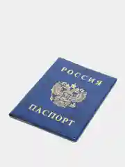 Багровый обложка для паспорта, разные цвета обложек тиснение "Герб"