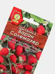 Земляника Барон Солемахер (семена)