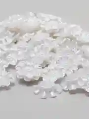 Белый полубусины фигурные Цветок