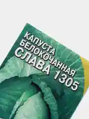 Семена Капуста белокочанная среднеспелая "Слава 1305", 1 г