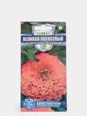 Семена цветов Цинния "Великан лососевый"