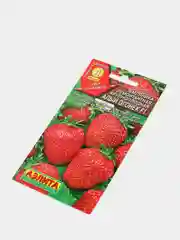 Земляника Алый огонек (семена,клубника)