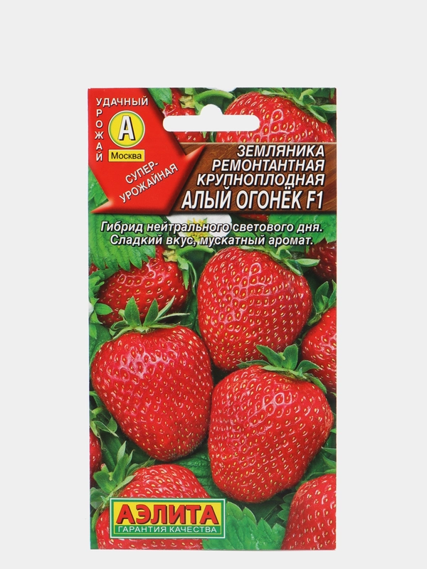 Земляника Алый огонек (семена,клубника)