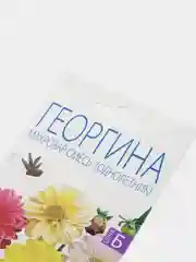 Семена Георгин "Радуга смесь", "Махровая смесь", "Веселые ребята", "Пикколо миньон"
