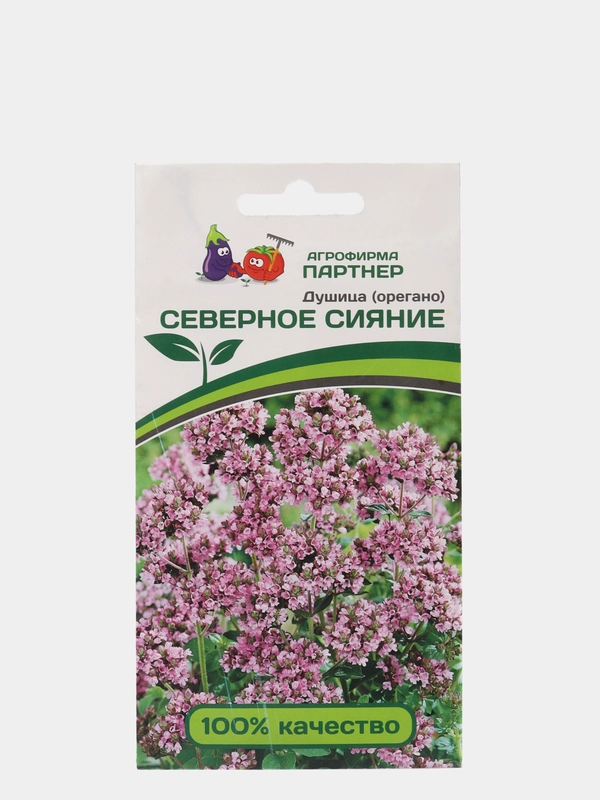 Семена партнер Душица "Северное сияние"