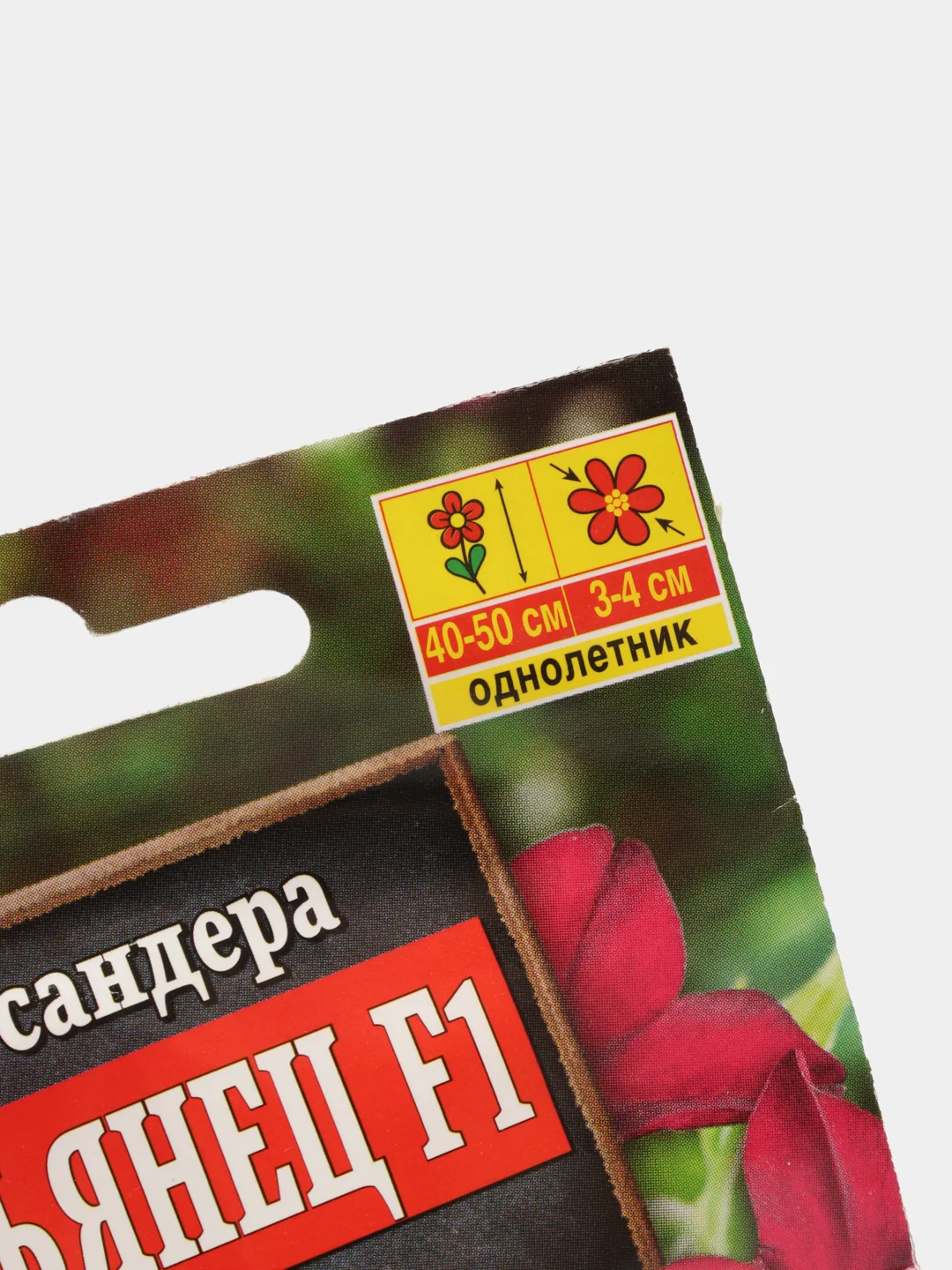 Семена цветы "Табак Итальянец"