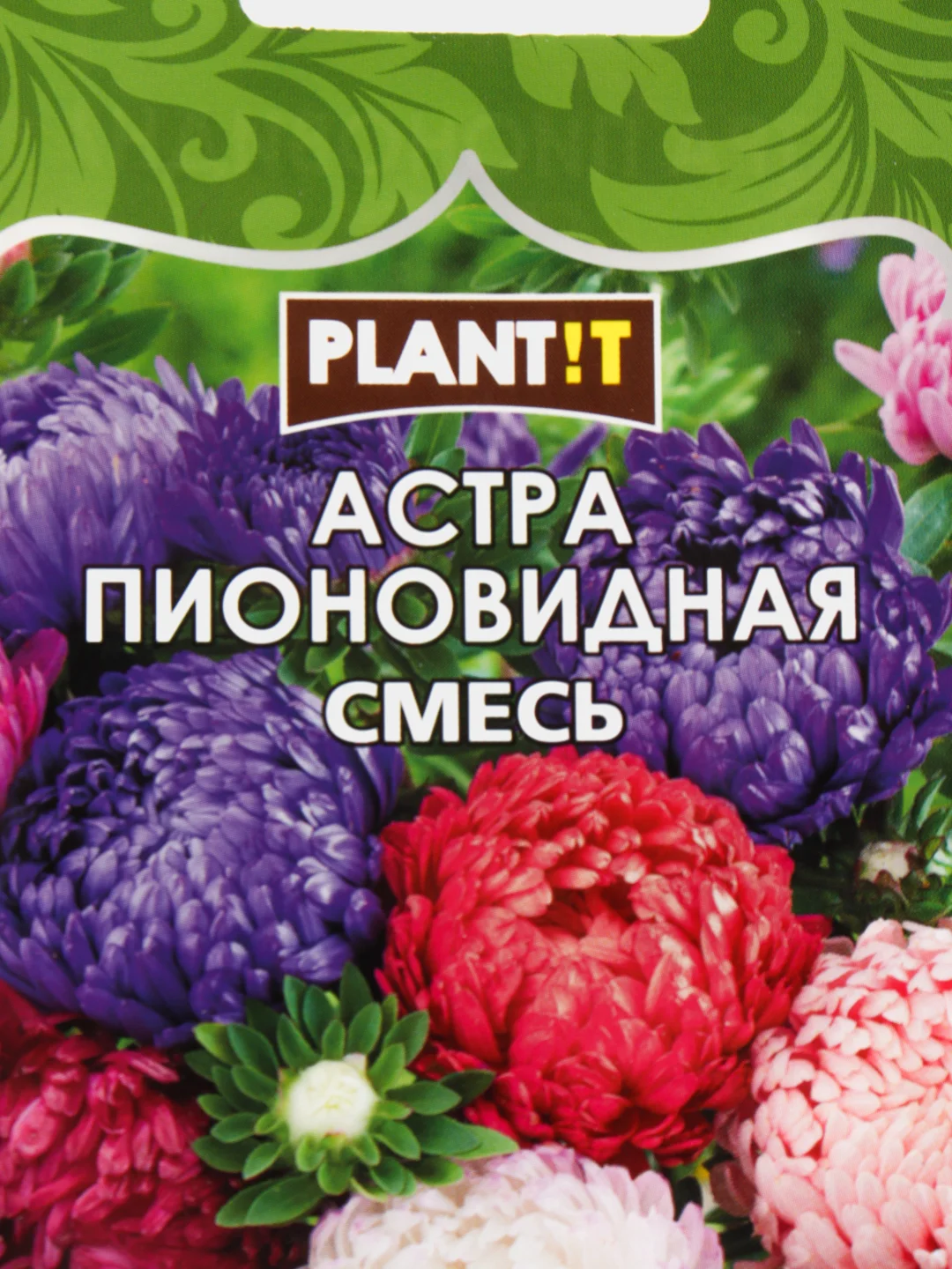 Астра "Пионовидная смесь"