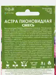 Астра "Пионовидная смесь"