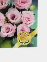 Эустома "Джульетта" розовая, семена