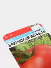 Семена томат " Бакинский великан"