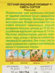 Петуния "ВИШНЕВЫЙ ПЛОМБИР", смесь сортов