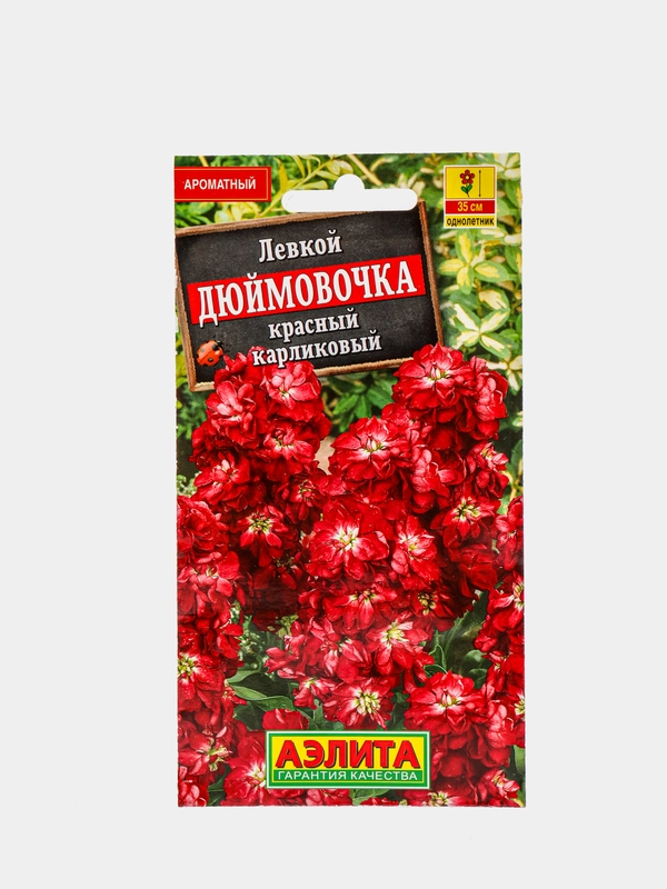 Левкой "Дюймовочка", красный, семена