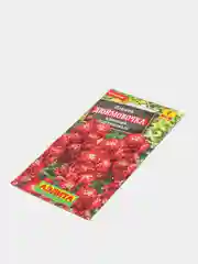 Левкой "Дюймовочка", красный, семена