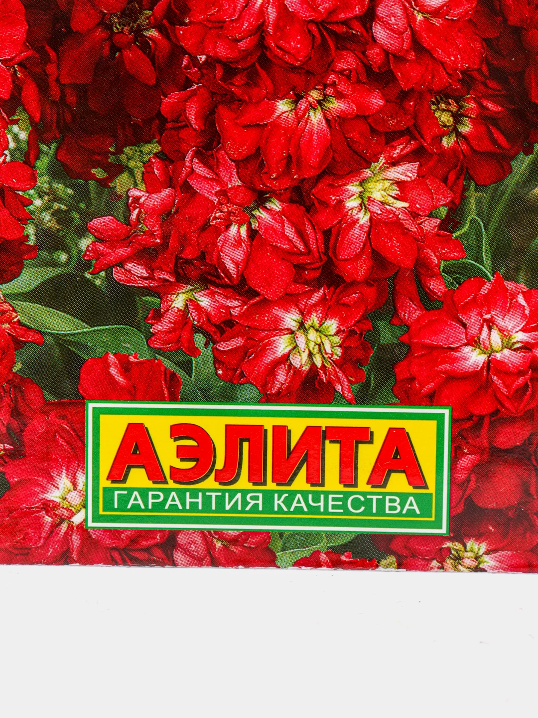 Левкой "Дюймовочка", красный, семена
