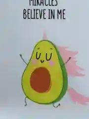 Обложка для паспорта MESHU "Avocado", ПВХ, 2 кармана