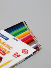 Карандаши цветные пластиковые BRAUBERG PREMIUM, 24 цвета