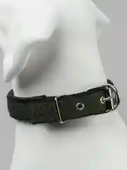 Оливковый ошейник для домашних животных, нейлоновый с подкладкой, разноцветные