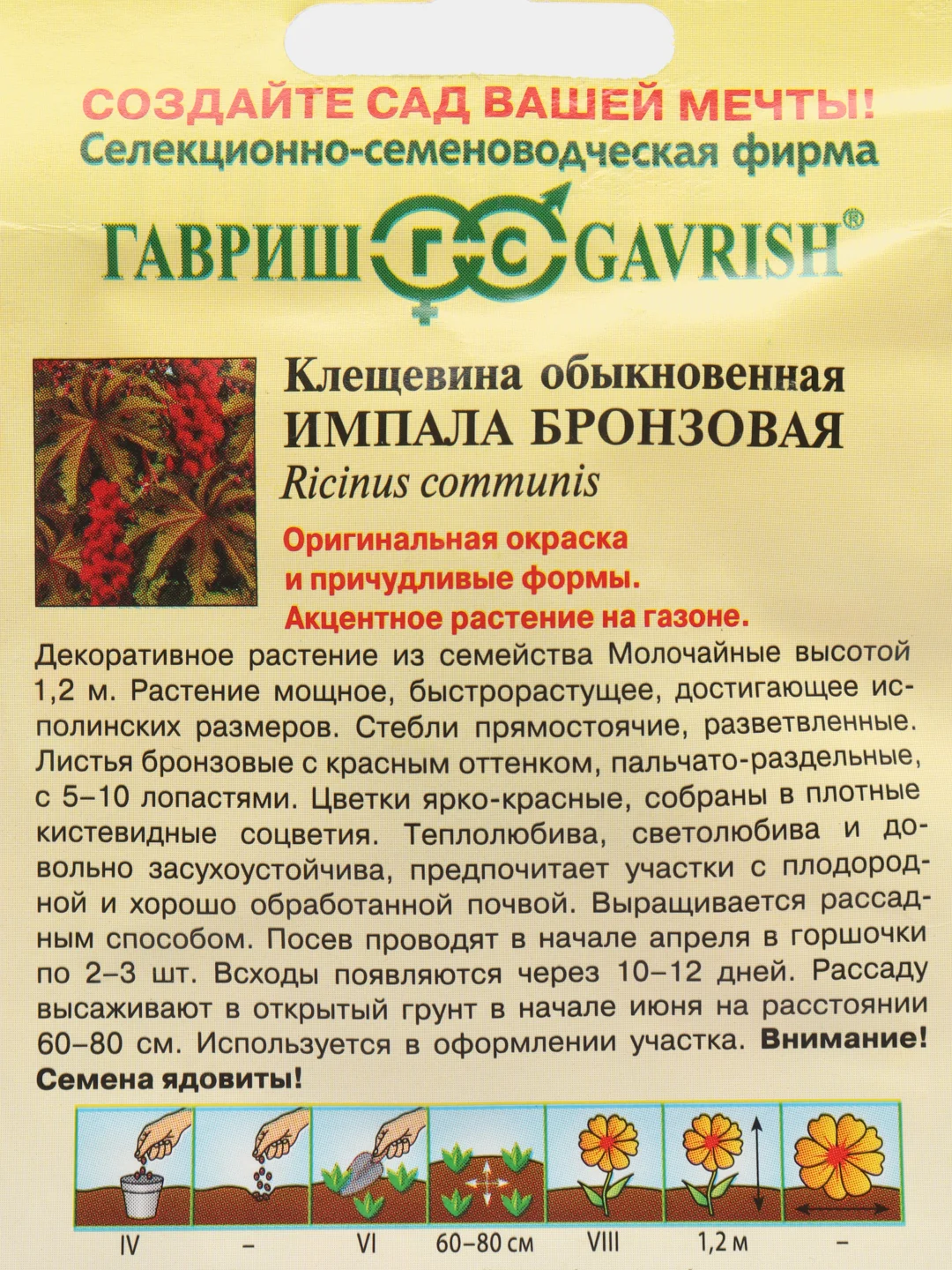 Семена клещевины "Импала бронзовая"