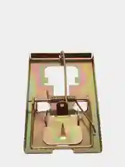 Оливковый металлическая мышеловка