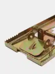 Оливковый металлическая мышеловка
