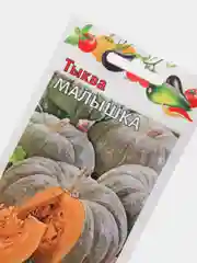 Семена "Тыква Малышка"