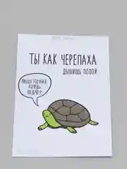 Открытка "Ты как черепаха"