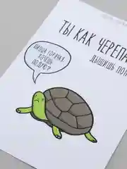 Открытка "Ты как черепаха"
